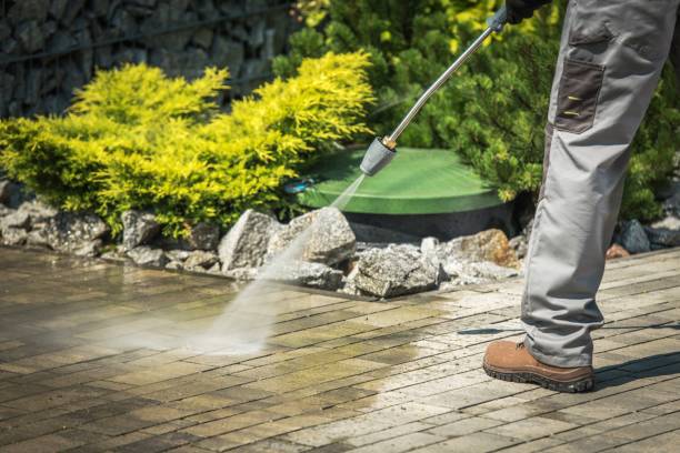 Best Soft Washing  in Ellport, PA