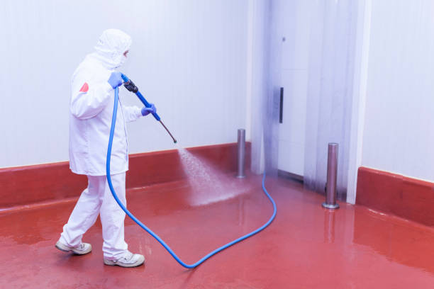 Best Heavy Equipment Washing  in Ellport, PA