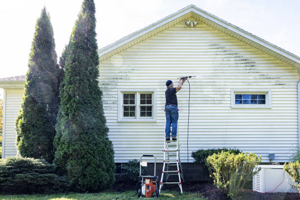 Best Roof Washing  in Ellport, PA